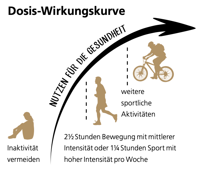 Dosis-Wirkung-Beziehung von Bewegung