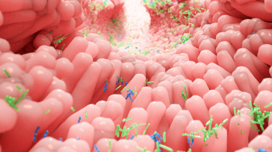 Illustration unseres Mikrobioms